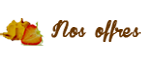 bouton offres graphiste Nice