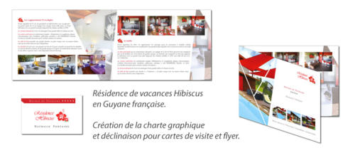 communication-depliant-carte-de-visite-residence-hibiscus